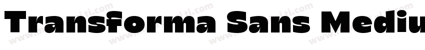 Transforma Sans Medium字体转换